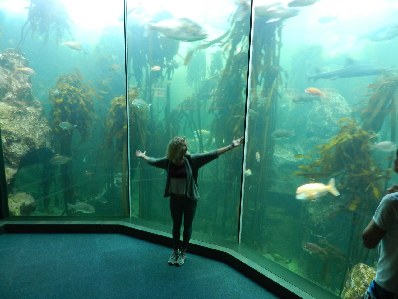 Sarah aquarium .jpg